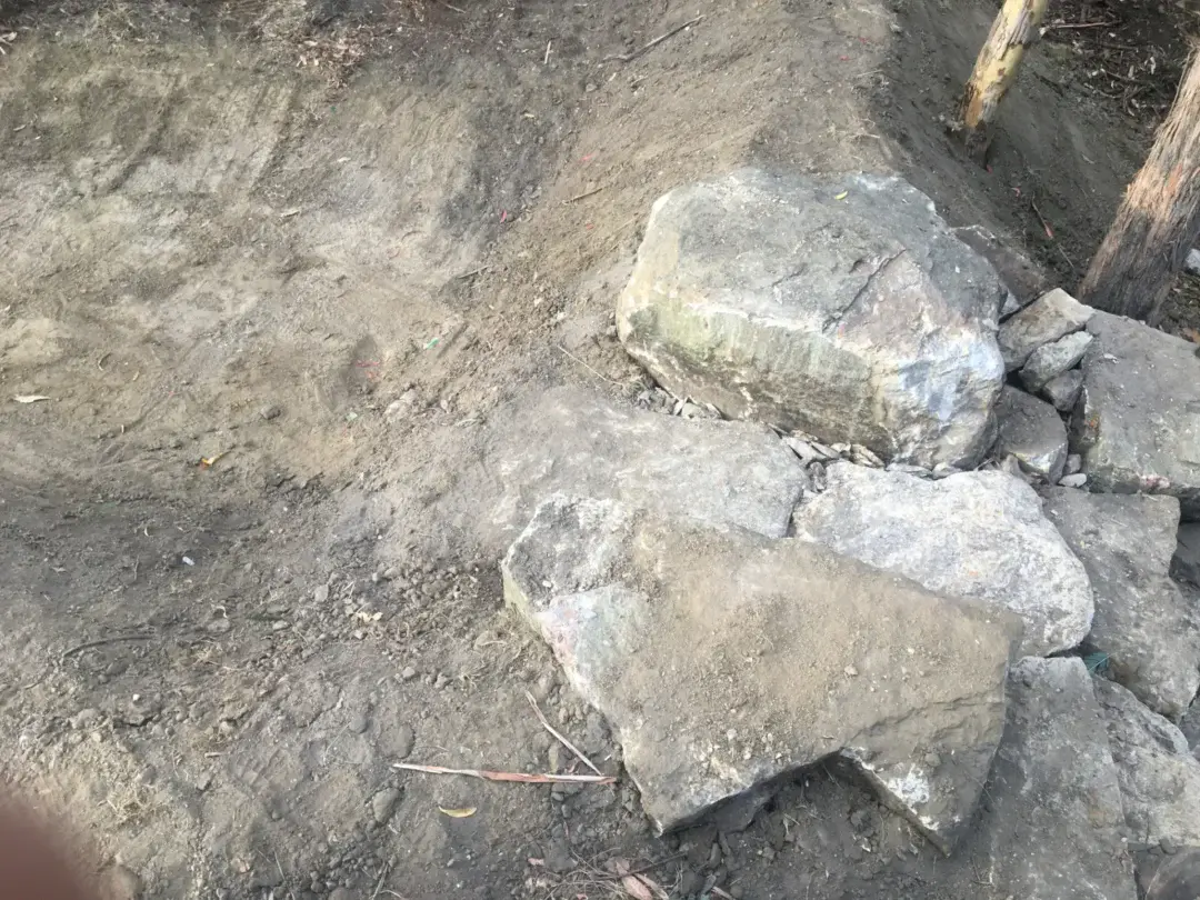Sandstone boulders exposed during site clearing