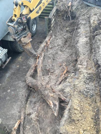 Excavator removing the old rotten timber retaining wall and roots